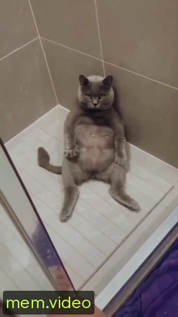 Кадр на 0:01