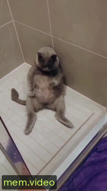 Кадр на 0:04