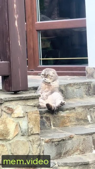 Кадр на 0:09