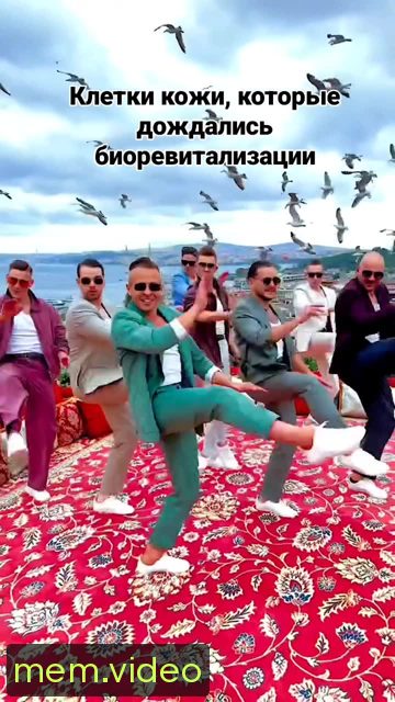 Кадр на 0:04