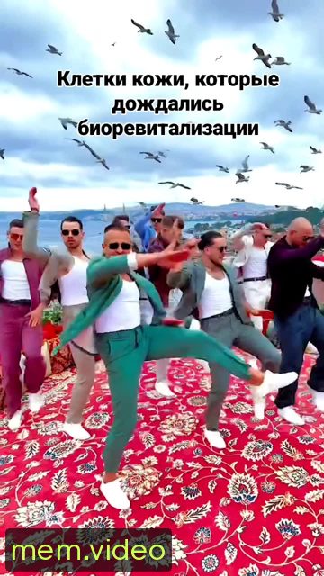 Кадр на 0:05