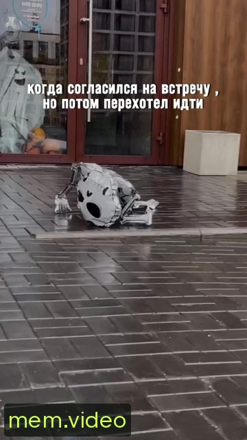 Кадр на 0:00