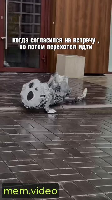Кадр на 0:00