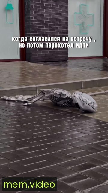 Кадр на 0:04