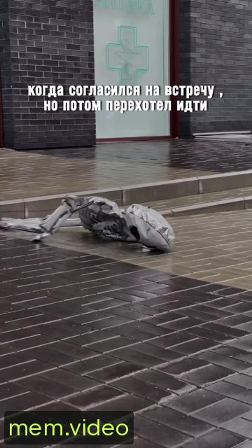 Кадр на 0:05
