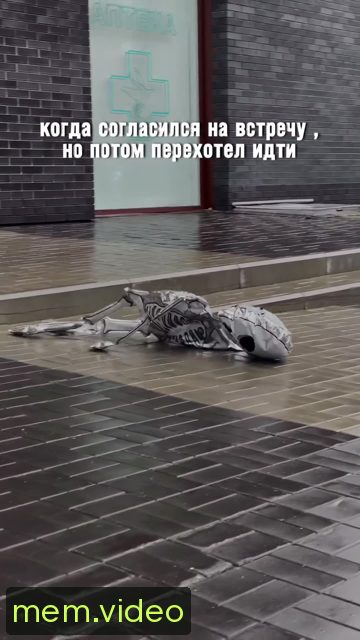 Кадр на 0:06