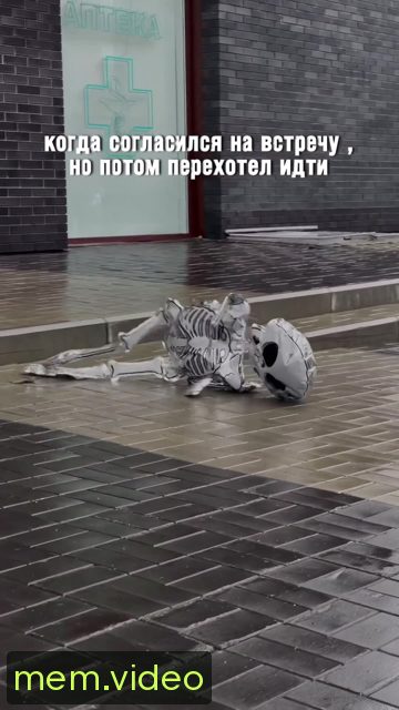Кадр на 0:06