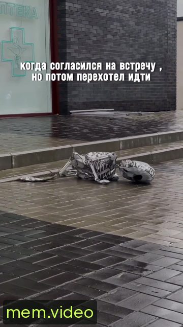 Кадр на 0:08