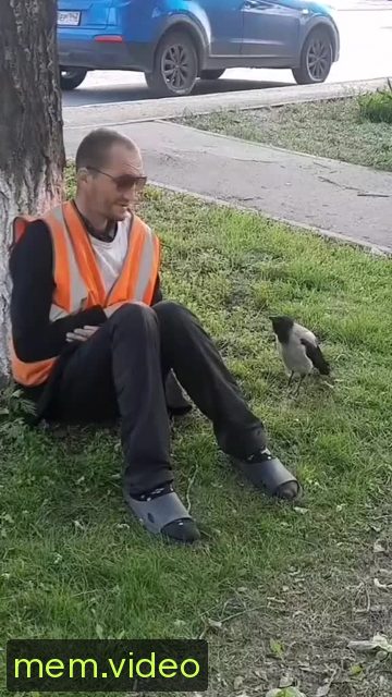 Кадр на 0:00