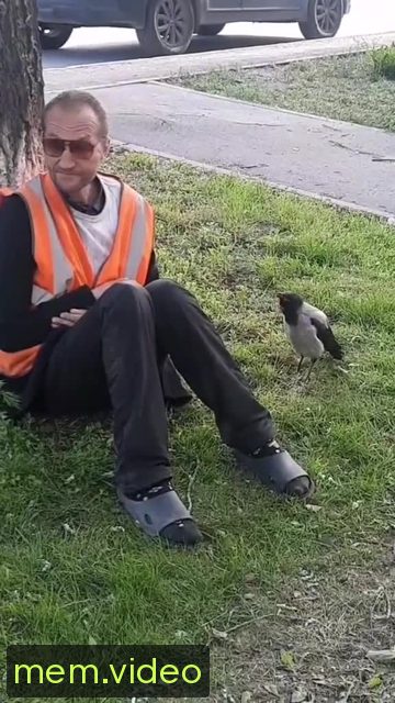 Кадр на 0:01