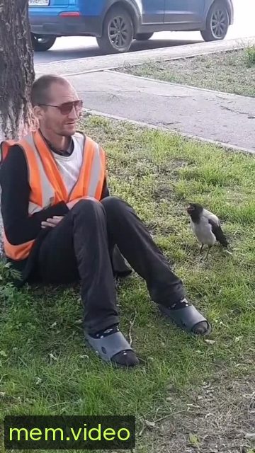 Кадр на 0:09