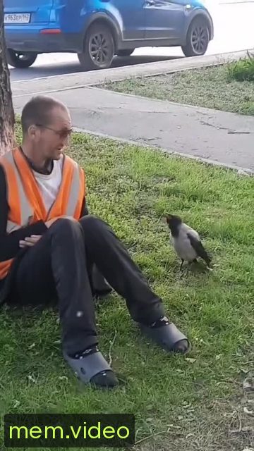 Кадр на 0:13