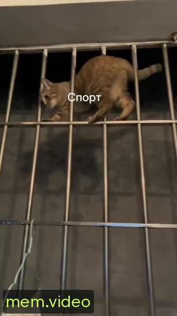 Кадр на 0:02