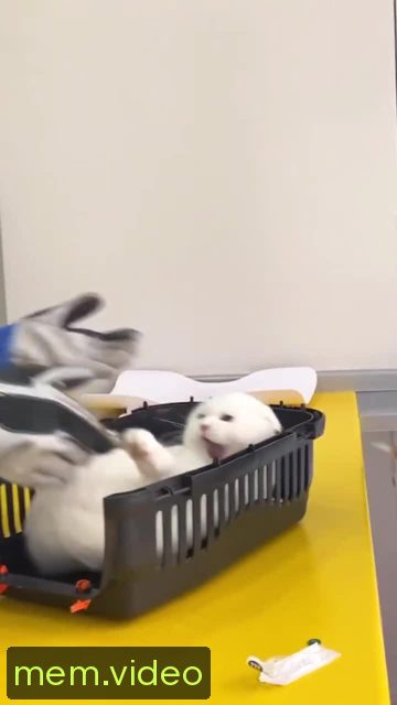 Кадр на 0:02
