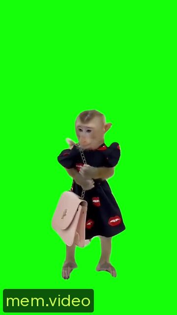 Кадр на 0:11