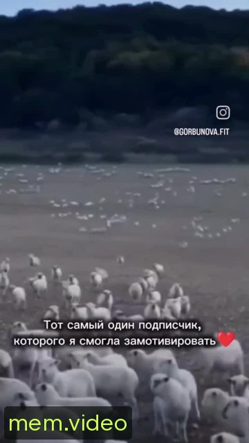 Кадр на 0:00