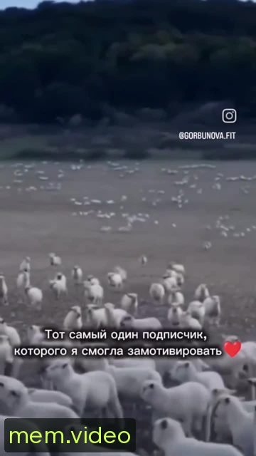 Кадр на 0:00