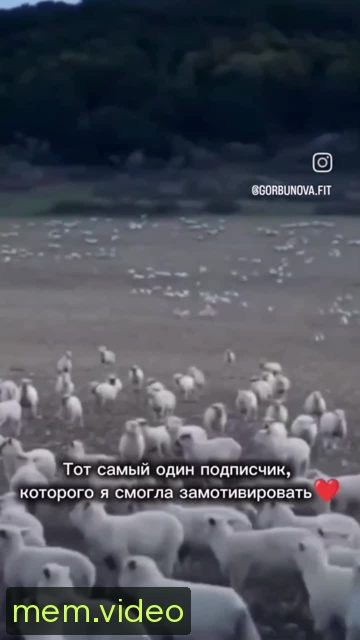 Кадр на 0:00