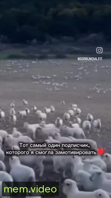 Кадр на 0:00