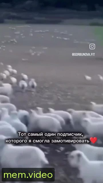 Кадр на 0:01