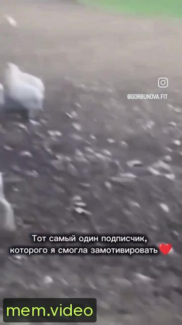 Кадр на 0:01