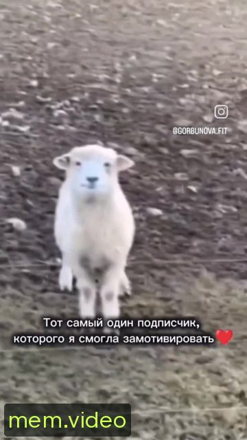 Кадр на 0:01
