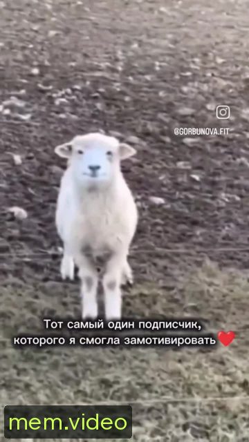 Кадр на 0:02