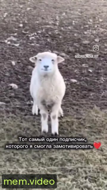 Кадр на 0:02
