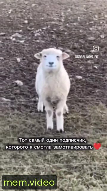 Кадр на 0:02