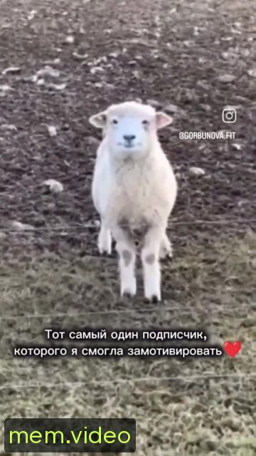 Кадр на 0:03