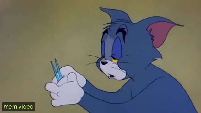 Кадр на 0:00