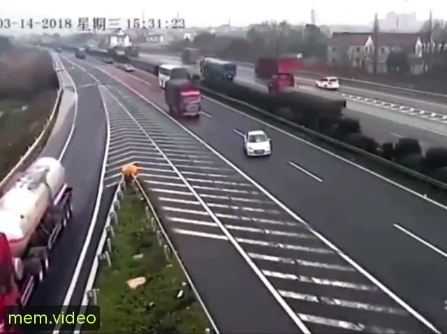 Кадр на 0:07