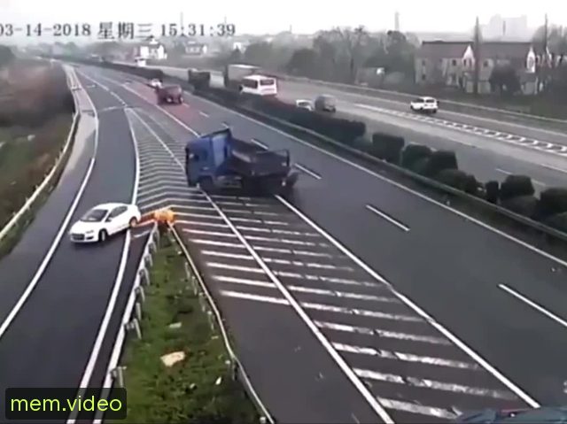 Кадр на 0:23