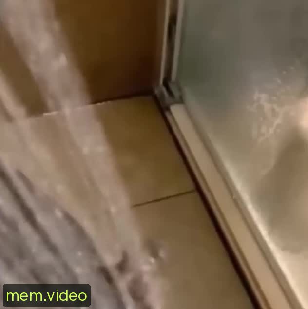 Кадр на 0:00