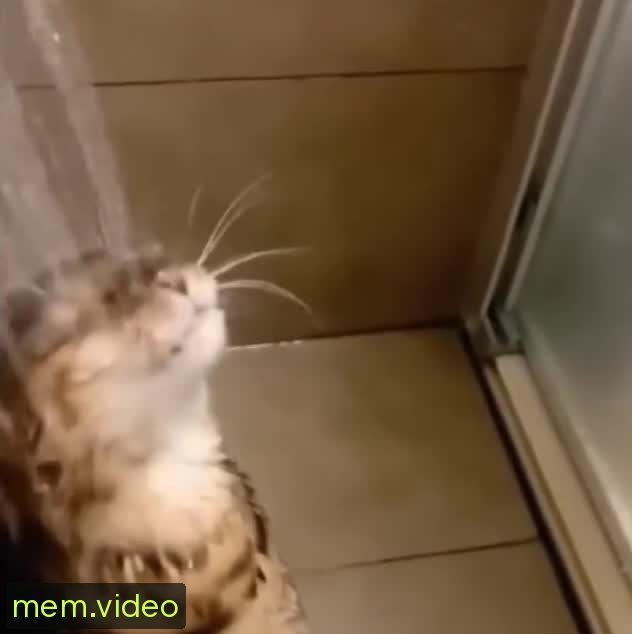 Кадр на 0:01