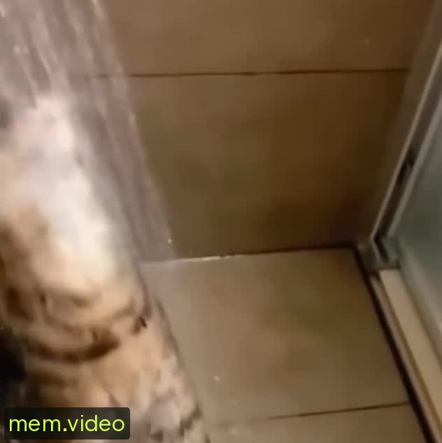 Кадр на 0:02