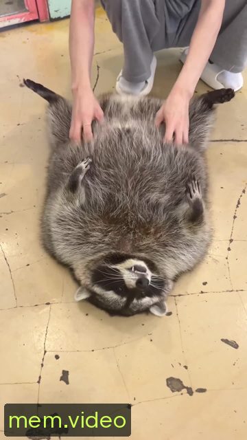 Кадр на 0:02