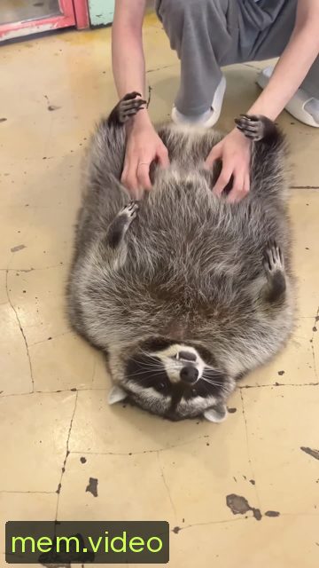 Кадр на 0:05
