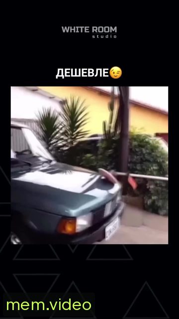 Кадр на 0:08