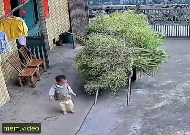 Кадр на 0:00