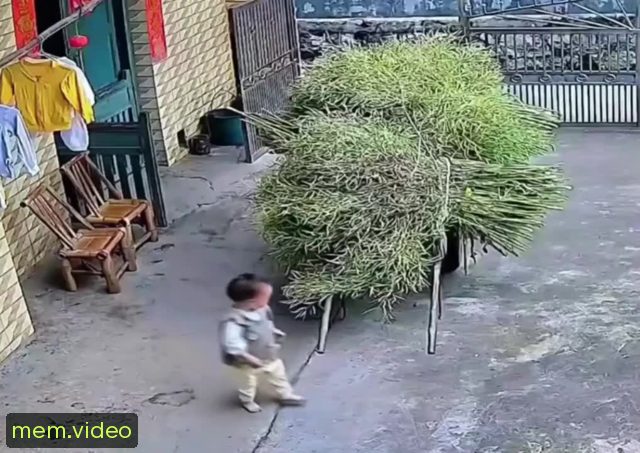 Кадр на 0:00
