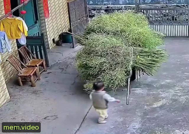 Кадр на 0:01