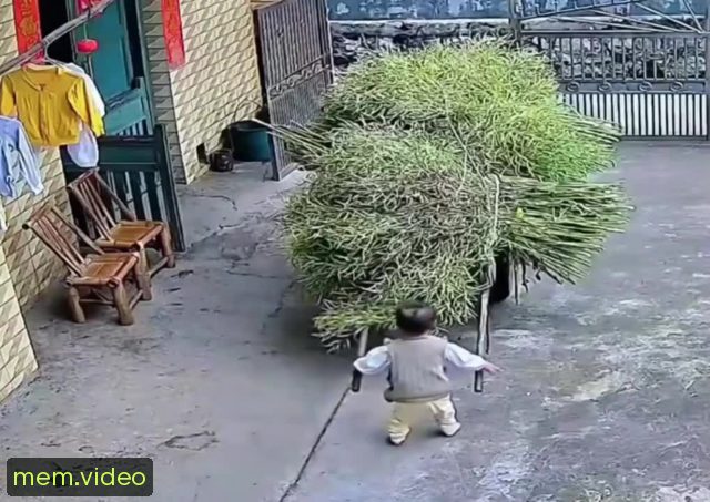 Кадр на 0:02