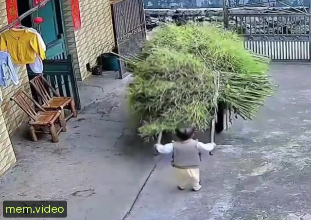 Кадр на 0:03