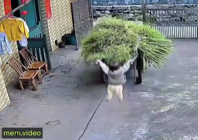 Кадр на 0:04