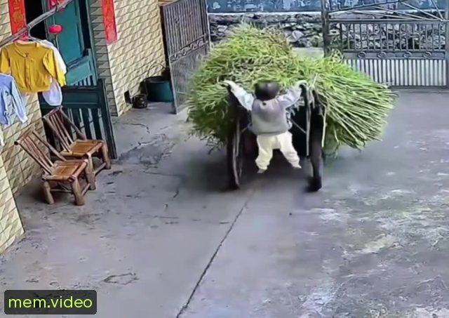 Кадр на 0:05