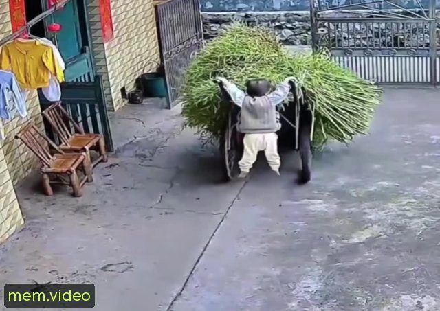 Кадр на 0:06