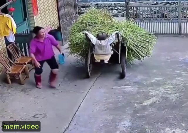 Кадр на 0:09