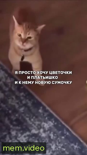 Кадр на 0:01