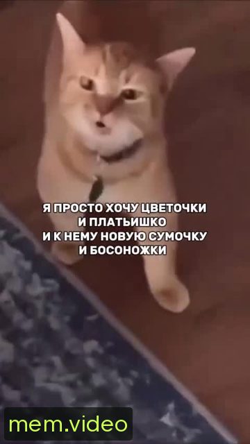 Кадр на 0:02